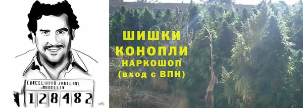 СК Бежецк