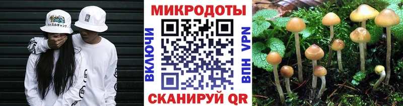 Псилоцибиновые грибы Cubensis  цена   Тольятти 