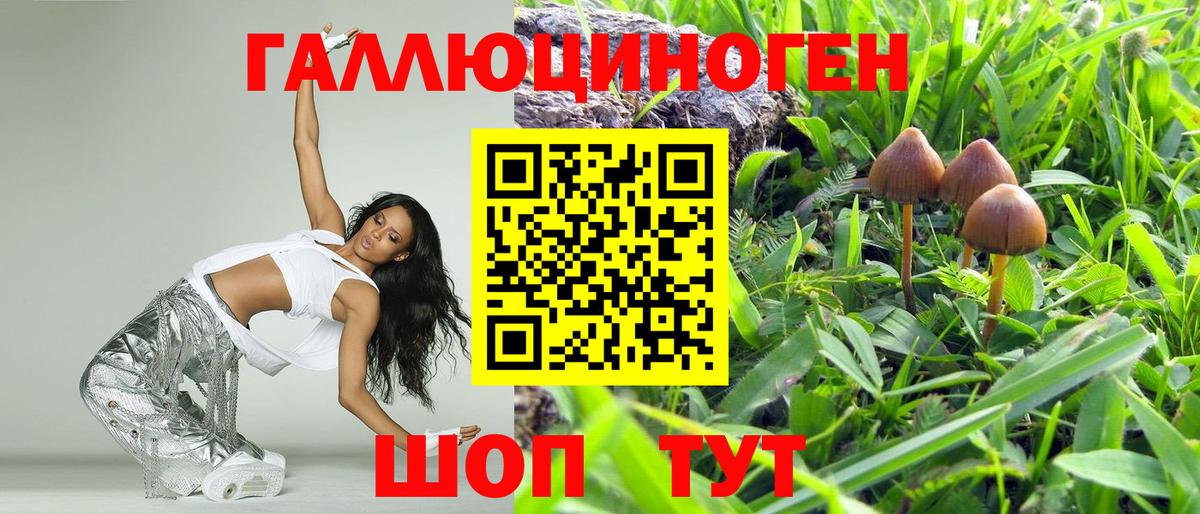 Псилоцибиновые грибы Magic Shrooms  Галлюциногенные грибы Cubensis  Тольятти 