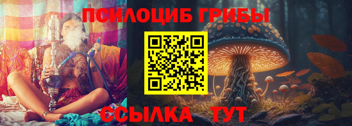 Галлюциногенные грибы Cubensis Тольятти