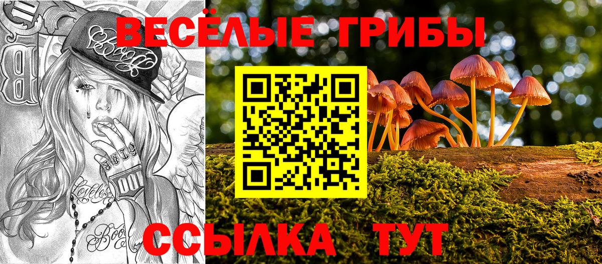 Псилоцибиновые грибы прущие грибы Тольятти