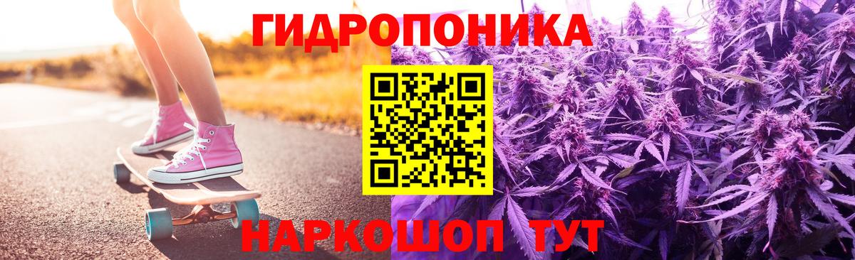 Тольятти  Бошки марихуана ГИДРОПОН  Бошки Шишки White Widow  Марихуана план  Вход с VPN 